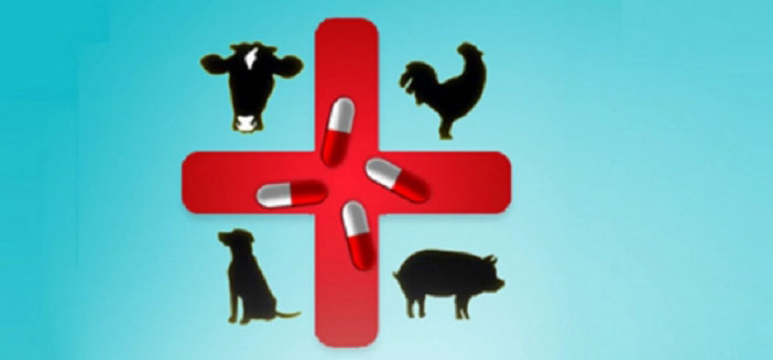 Veterinary Drug